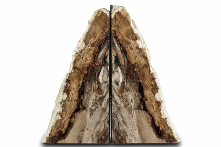 Tall Petrified Wood Bookends #382175